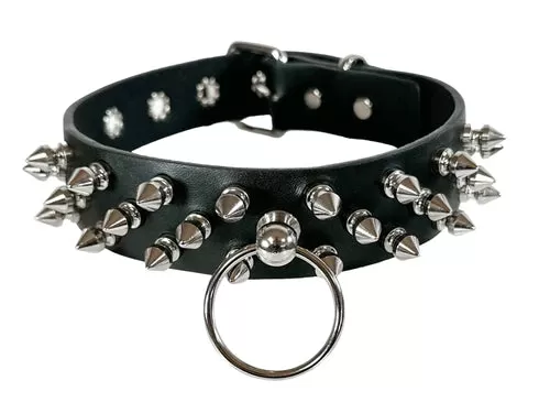 baby starter collar