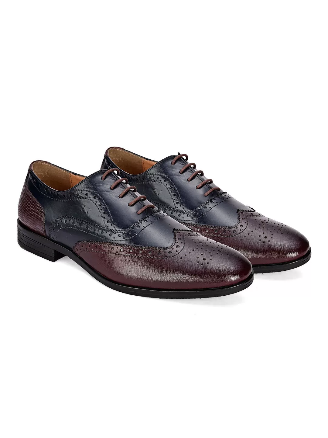 Cole Dual Tone Brogue Shoes