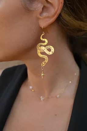 I Am Transforming Snake Earrings