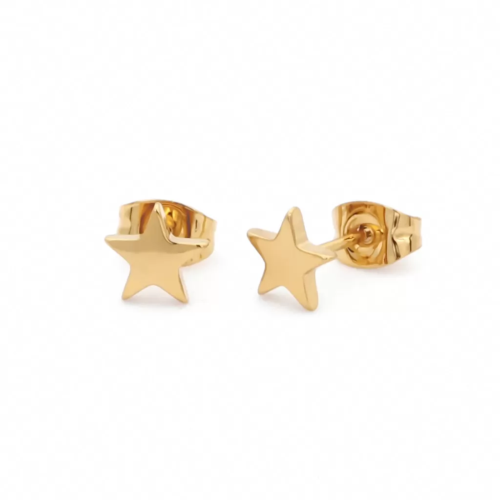 Stainless Steel Star Stud Earrings