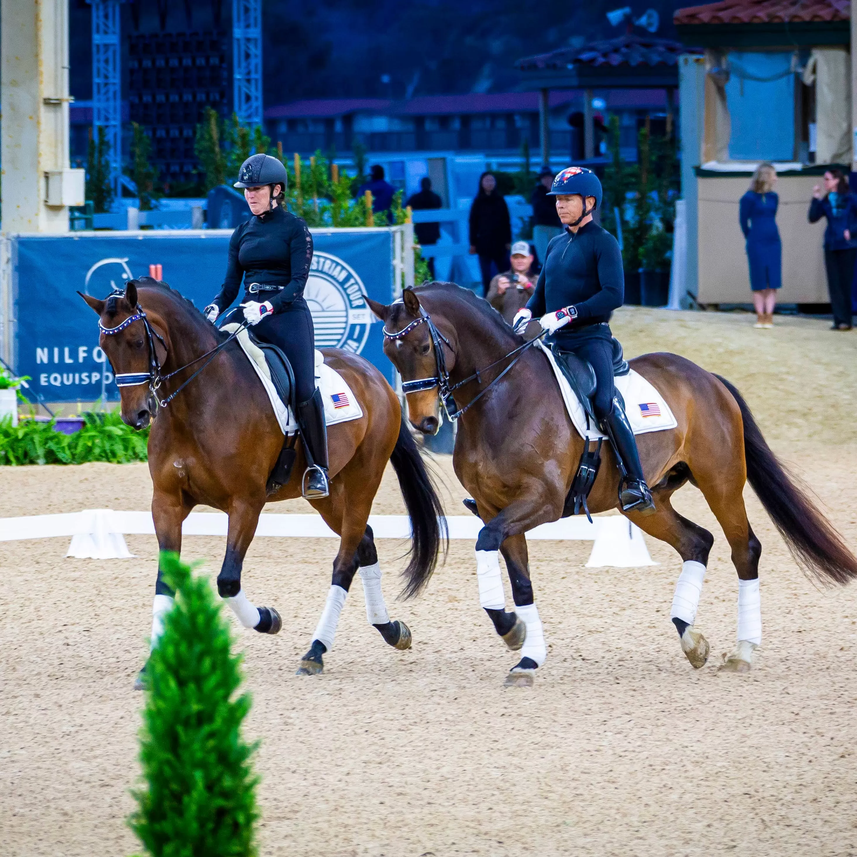 The Captain America Metallic Navy Patent Leather Double Bridle (Pathway to the Podium Collection)